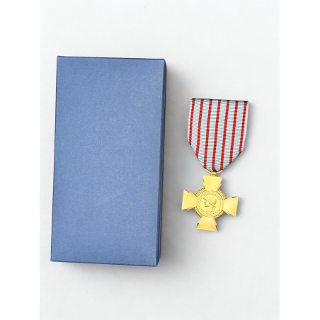 Croix du combattant - Drago