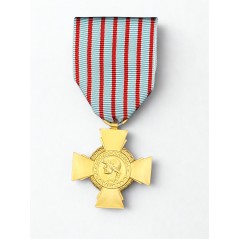 Croix du combattant - Drago