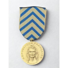 Médaille de reconnaissance de la Nation - Drago
