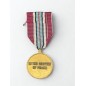 Médaille ONU maintien de la paix Plateau du Golan FNUOD