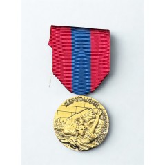 Médaille de la Défense Nationale - Bronze - Drago