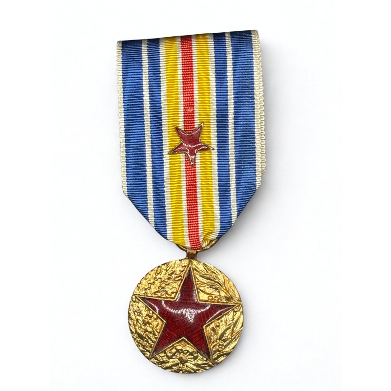 Médaille des blessés de guerre