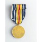 Médaille des blessés de guerre
