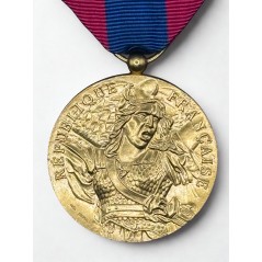 Médaille de la Défense Nationale - Or - Agrafe Missions d'Assistance Extérieure