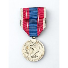 Médaille de la Défense Nationale - Argent - Agrafe Gendarmerie Nationale