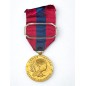Médaille de la Défense Nationale - Bronze - Agrafe Gendarmerie Nationale
