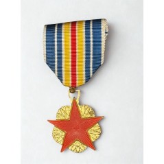 Médaille des blessés de guerre