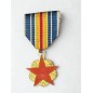 Médaille des blessés de guerre