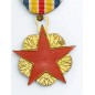 Médaille des blessés de guerre