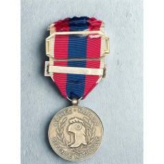 Médaille de la Défense Nationale - Argent - Agrafe Troupes Marine + Gendarmerie Nationale