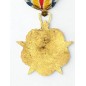Médaille des blessés de guerre