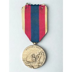 Médaille de la Défense Nationale - Argent