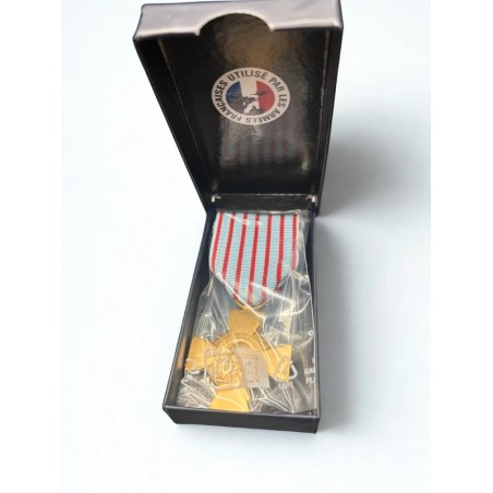 Croix du combattant - Drago