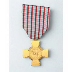 Croix du combattant - Drago