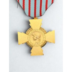 Croix du combattant - Drago