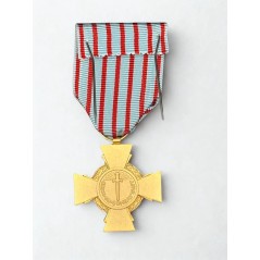 Croix du combattant - Drago