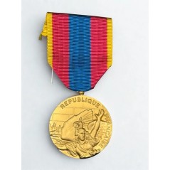 Médaille de la Défense Nationale - Or