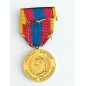Médaille de la Défense Nationale - Or
