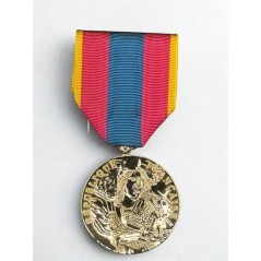 Médaille de la Défense Nationale - Or
