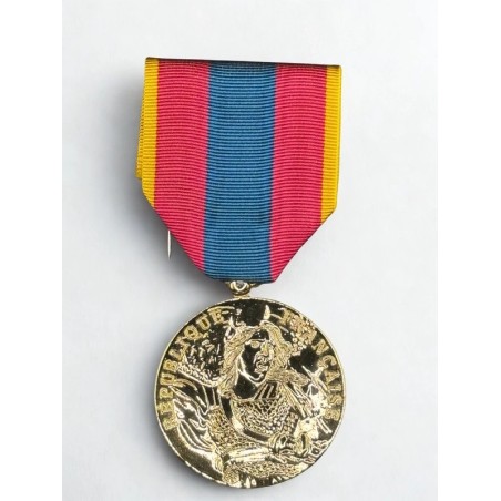 Médaille de la Défense Nationale - Or