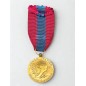 Médaille de la Défense Nationale - Bronze