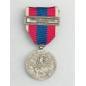 Médaille de la Défense Nationale - Argent - Agrafe Missions d'Assistance Extérieure
