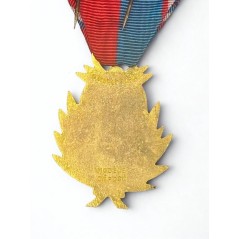 Médaille de la confédération musicale de France