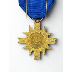 Croix du combattant de l'Europe
