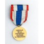 Médaille de la protection militaire du territoire - Drago
