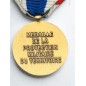 Médaille de la protection militaire du territoire - Drago