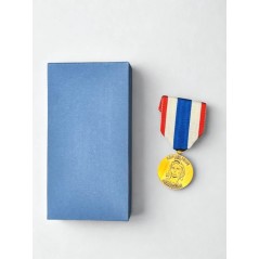 Médaille de la protection militaire du territoire - Drago
