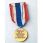 Médaille de la protection militaire du territoire