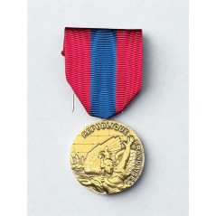 Médaille de la Défense Nationale - Bronze - Drago