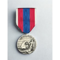 Médaille de la Défense Nationale - Argent - Drago