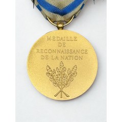 Médaille de reconnaissance de la Nation - Drago