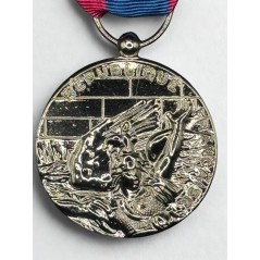 Médaille de la Défense Nationale - Argent