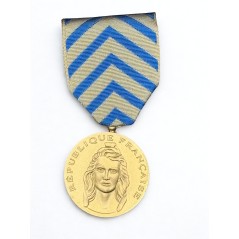 Médaille de reconnaissance de la Nation - Drago